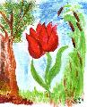 Zsuzsi bartnm ris tulipnja, a mese tletadja